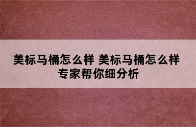 美标马桶怎么样 美标马桶怎么样 专家帮你细分析